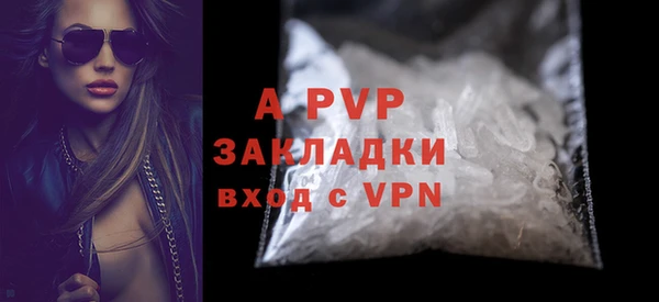 стафф Бородино