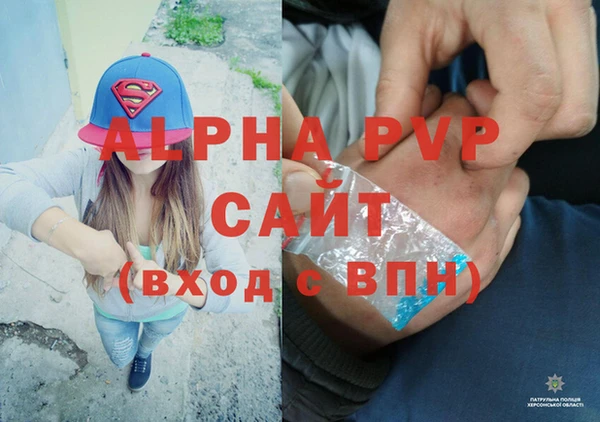 сатива Бронницы
