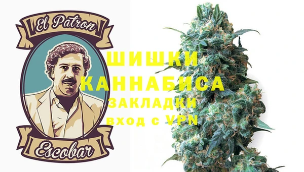сатива Бронницы