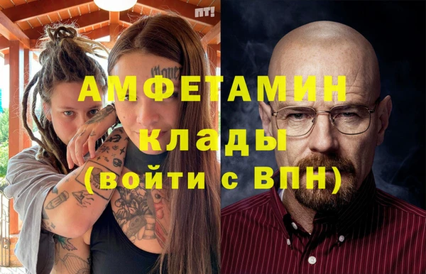 сатива Бронницы