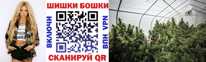 закладка  Троицк  Бошки марихуана планчик 